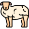 qurbani